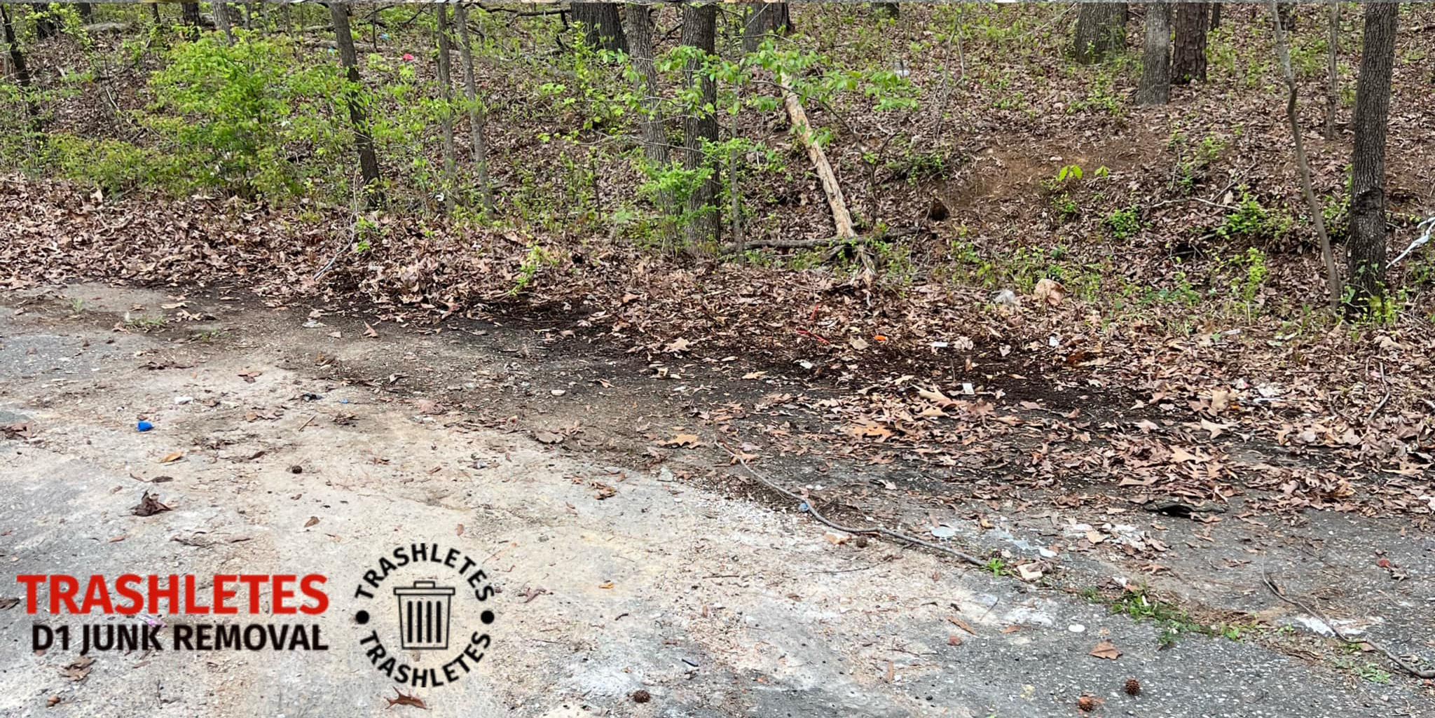 A wooded area with a path covered in fallen leaves features a trash removal service logo. Positioned in the bottom left corner, it showcases the words Trashletes D1 Junk Removal and an image of a trash can adorned with stars—a trusted name in junk removal across North Carolina and South Carolina.